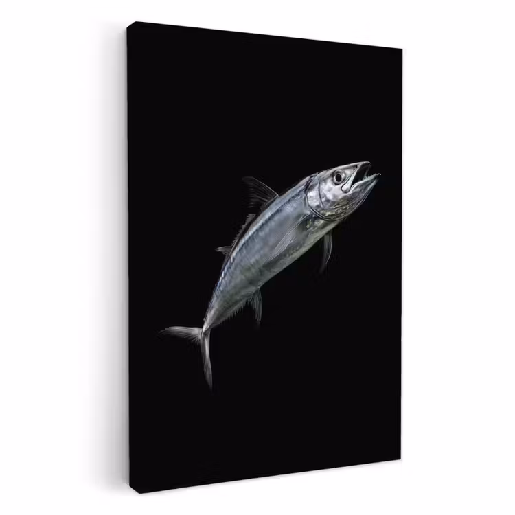 KitchenYeah - Cocina - Lienzo - Caballa - Pescado - Negro — 1