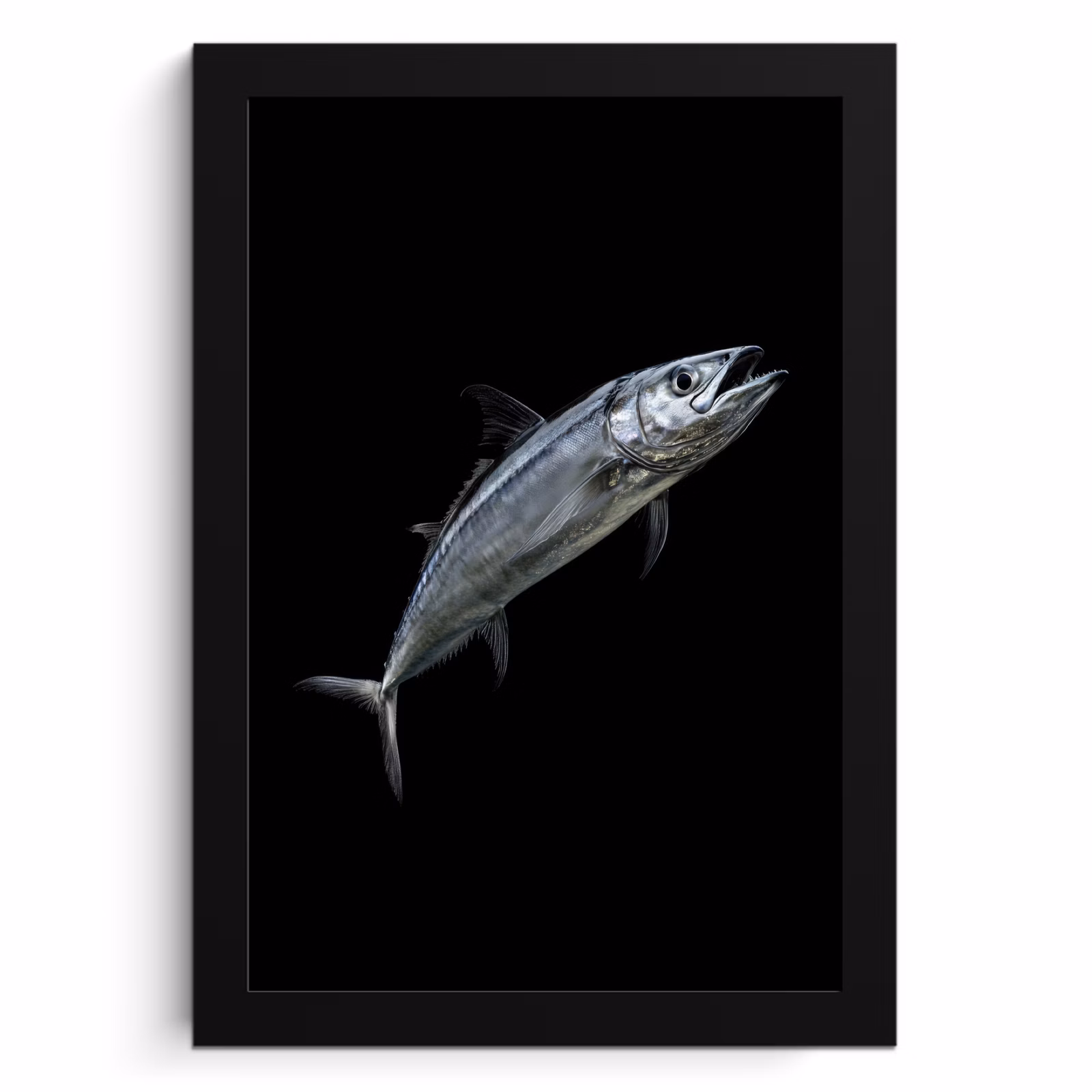 Cuadros enmarcados - Caballa - Pescado - Negro — 1