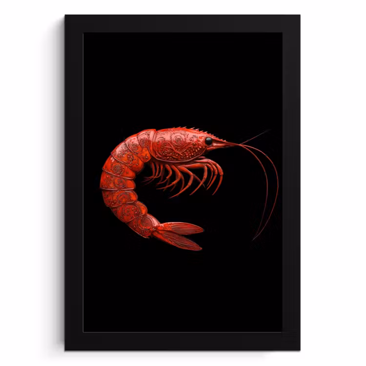 Cuadros enmarcados - Camarón - Rojo - Animales — 1