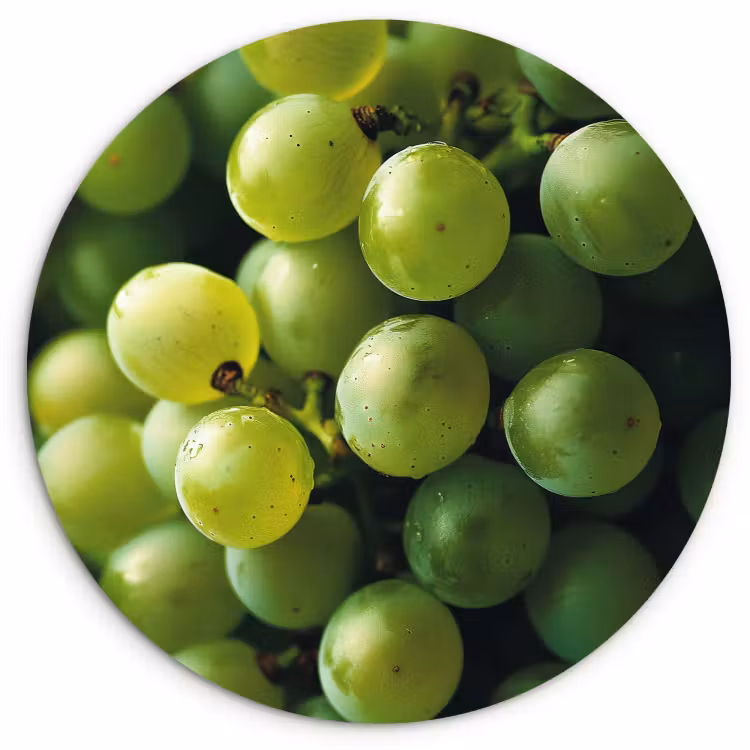 KitchenYeah - Cocina - Círculo mural Forex - Uvas - Racimo - Verde — 3