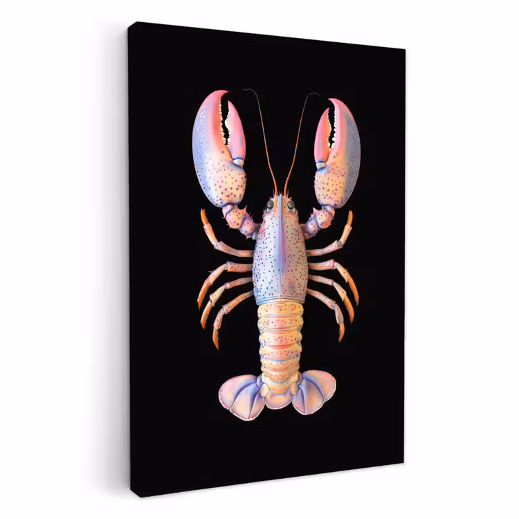 Lienzos decorativos - Cáncer - Rosa - Suave - Negro — 1