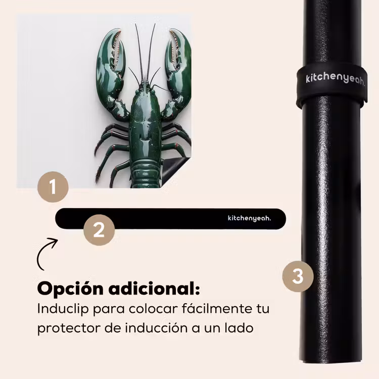 Protector de inducción - Cancro - Glossier - Verde - Bianco — 8