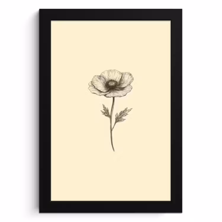 Cuadros enmarcados - Amapola - Ilustración - Negro — 1