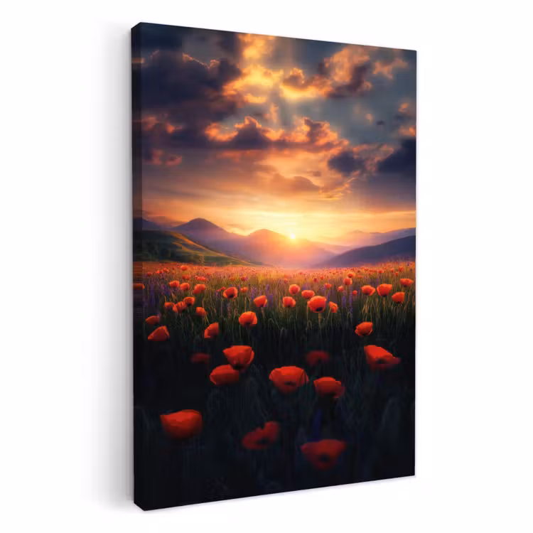Lienzos decorativos - Paisaje - Puesta de sol - Campo de flores — 3