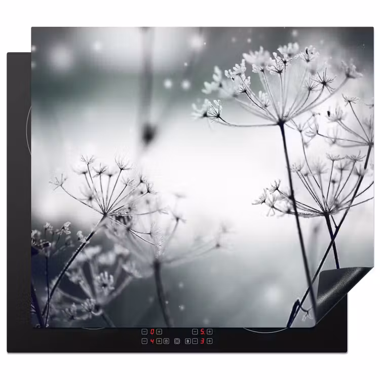 Protector de inducción - Flores - Invierno - Nieve - Naturaleza — 1