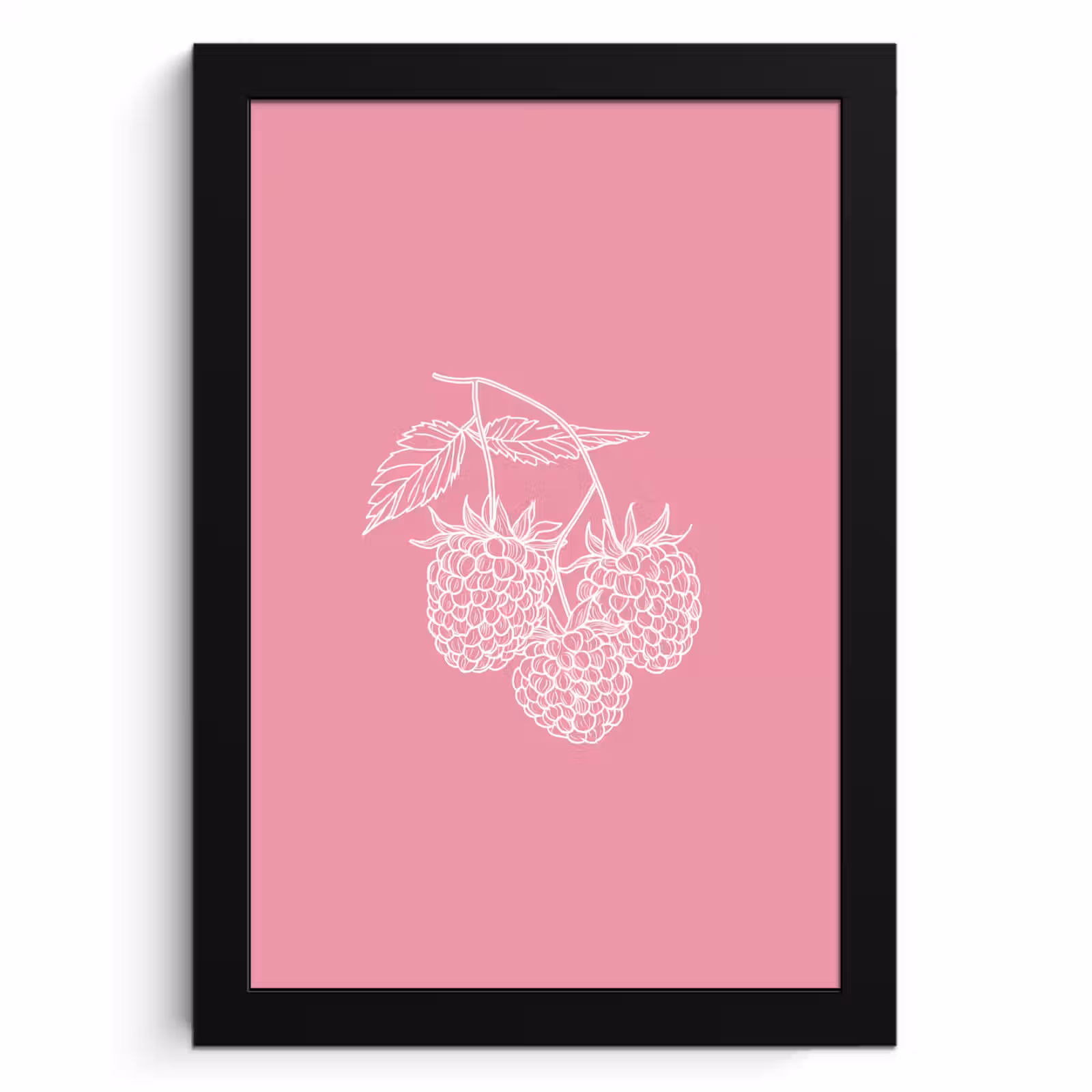 Cuadros enmarcados - Frambuesas - Tallo - Dibujado - Rosa — 1