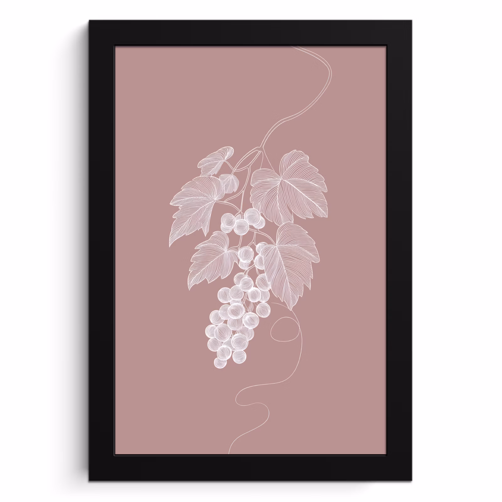 Cuadros enmarcados - Truss - Uvas - Ilustración - Hojas — 1