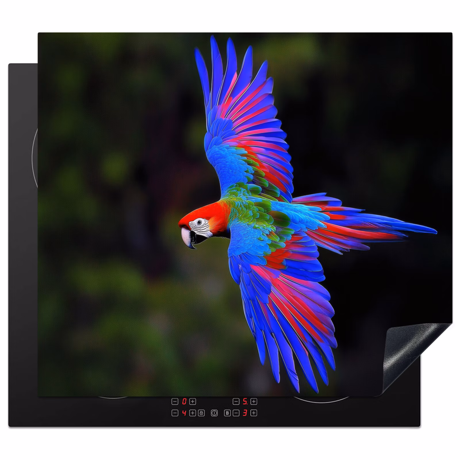 Protector de inducción - Colores vivos - Loro - Bosque - Alas — 1
