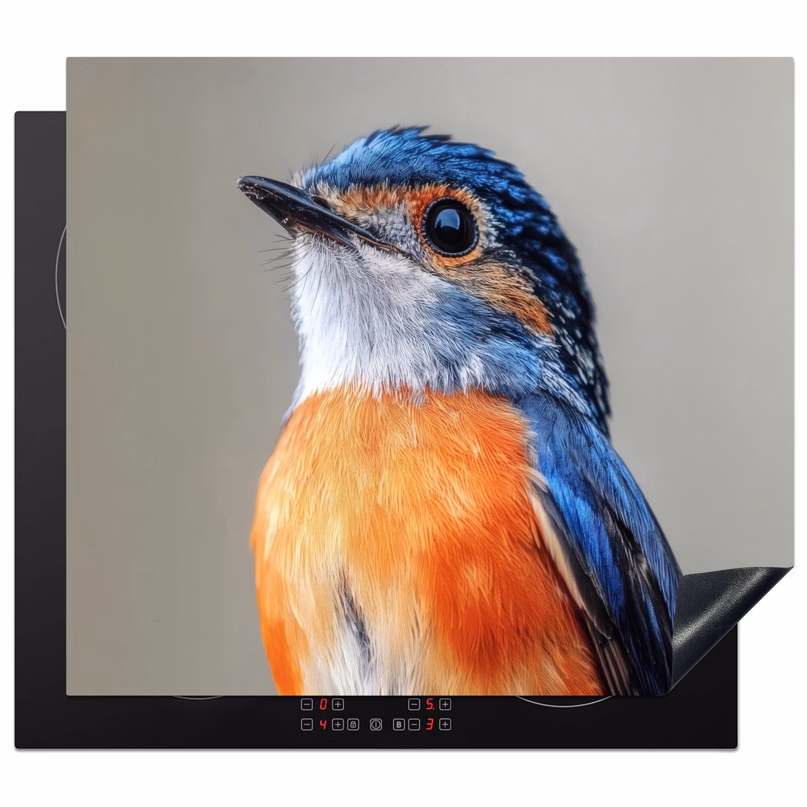 Protector de inducción - Colorido - Pájaro - Plumas - Azul — 1