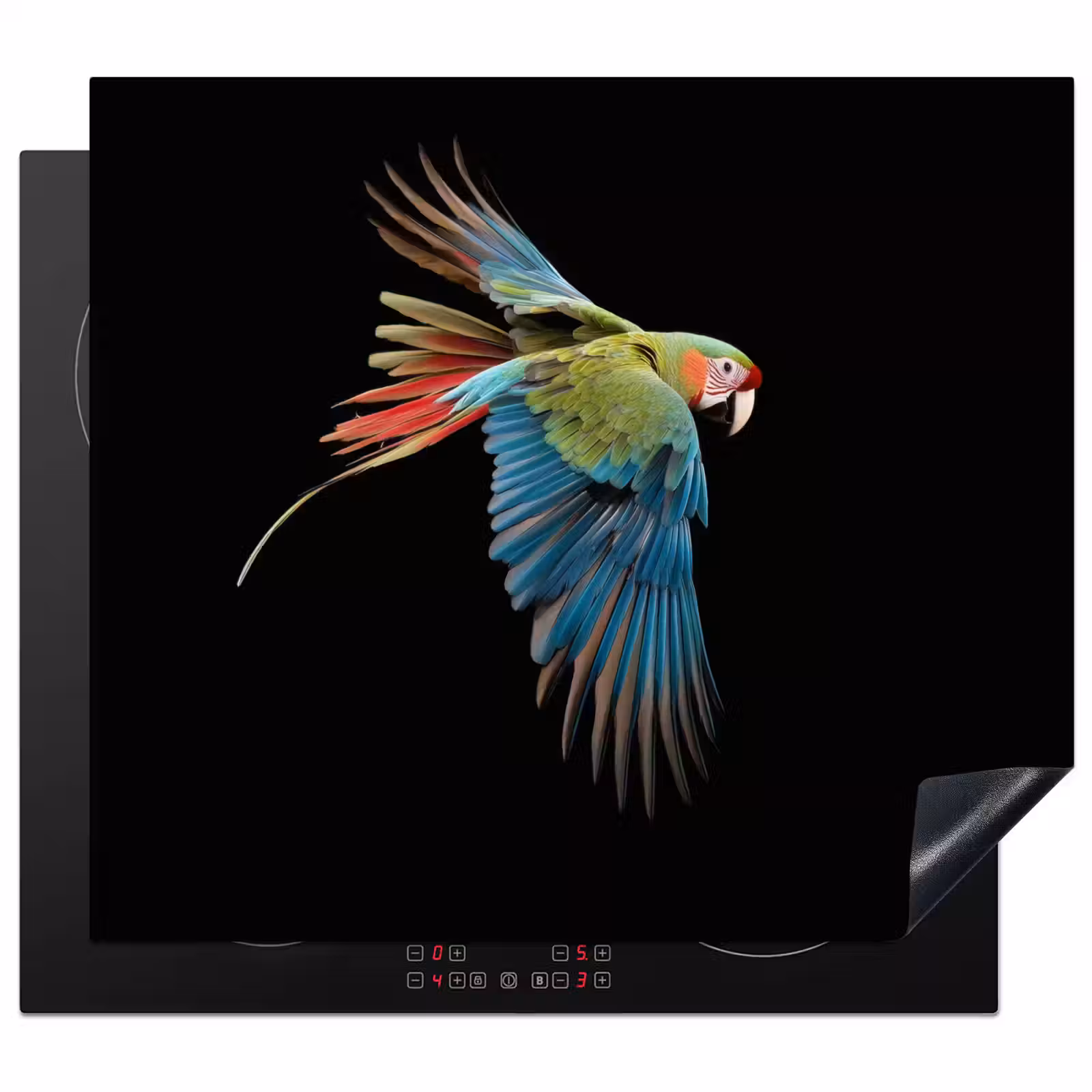 Protector de inducción - Loro - Colorido - Alas - Ornamentado — 1