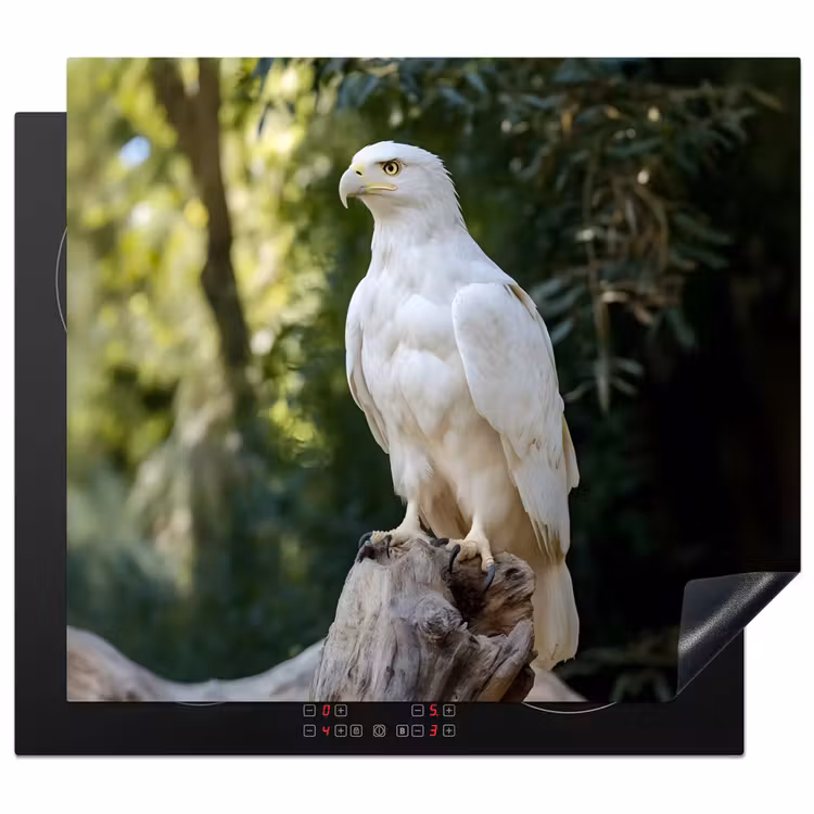 Protector de inducción - Águila - Madera - Blanco - Plantas — 1