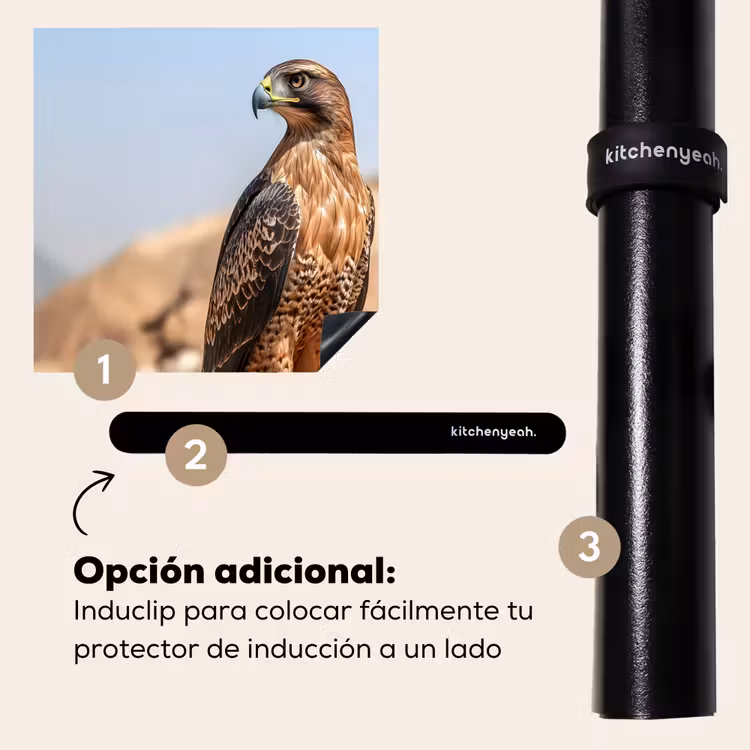 Protector de inducción - Halcón - Pájaro - Rock - Potencia — 8