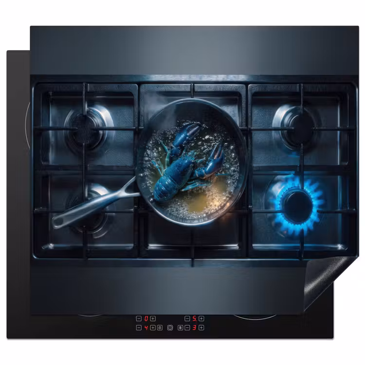 Protector de inducción - Langosta - cocina - cocinar — 1