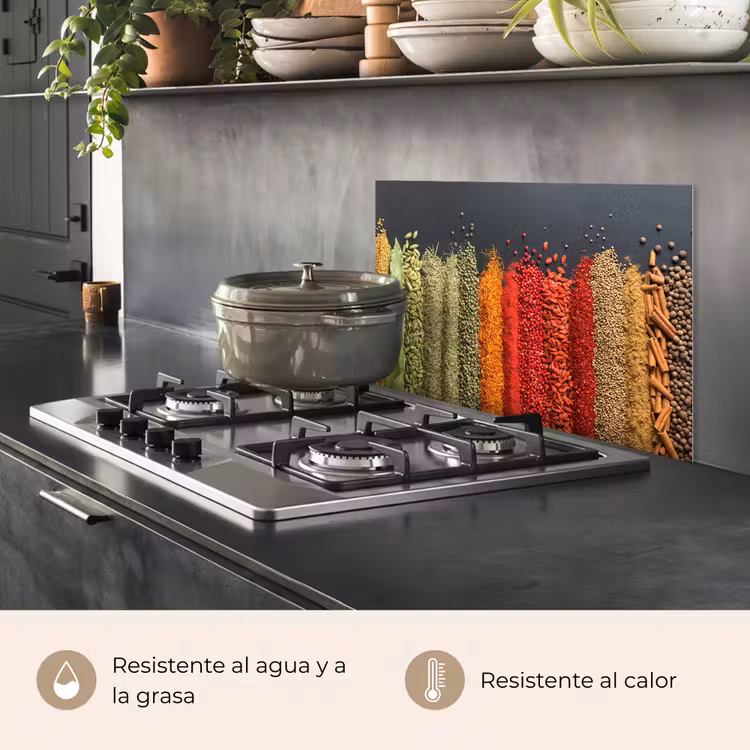 Salpicaderos de cocina - Especias - Hierbas - Empleo - Rainbow — 2