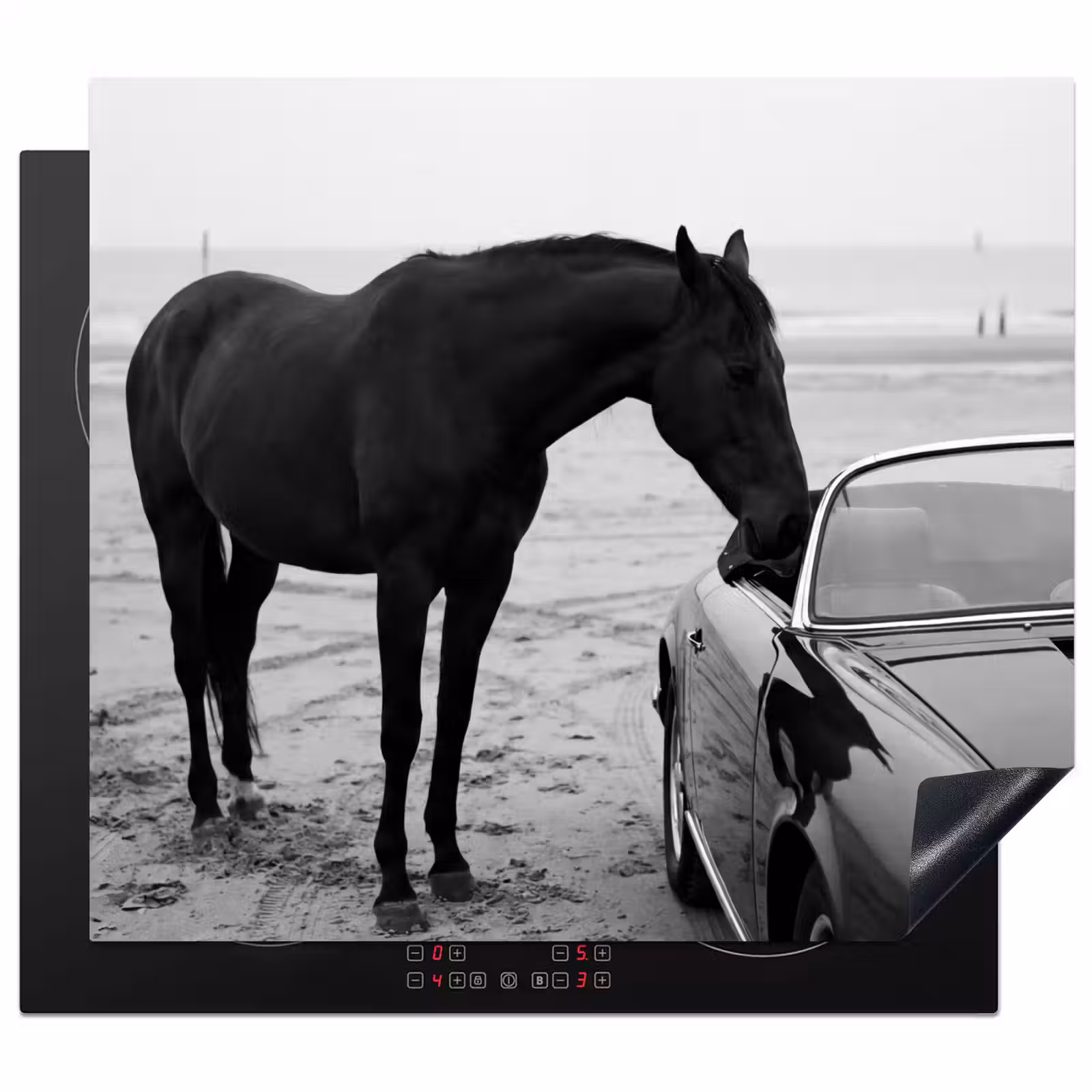 Protector de inducción - Caballo - Coche - Negro - Blanco — 1