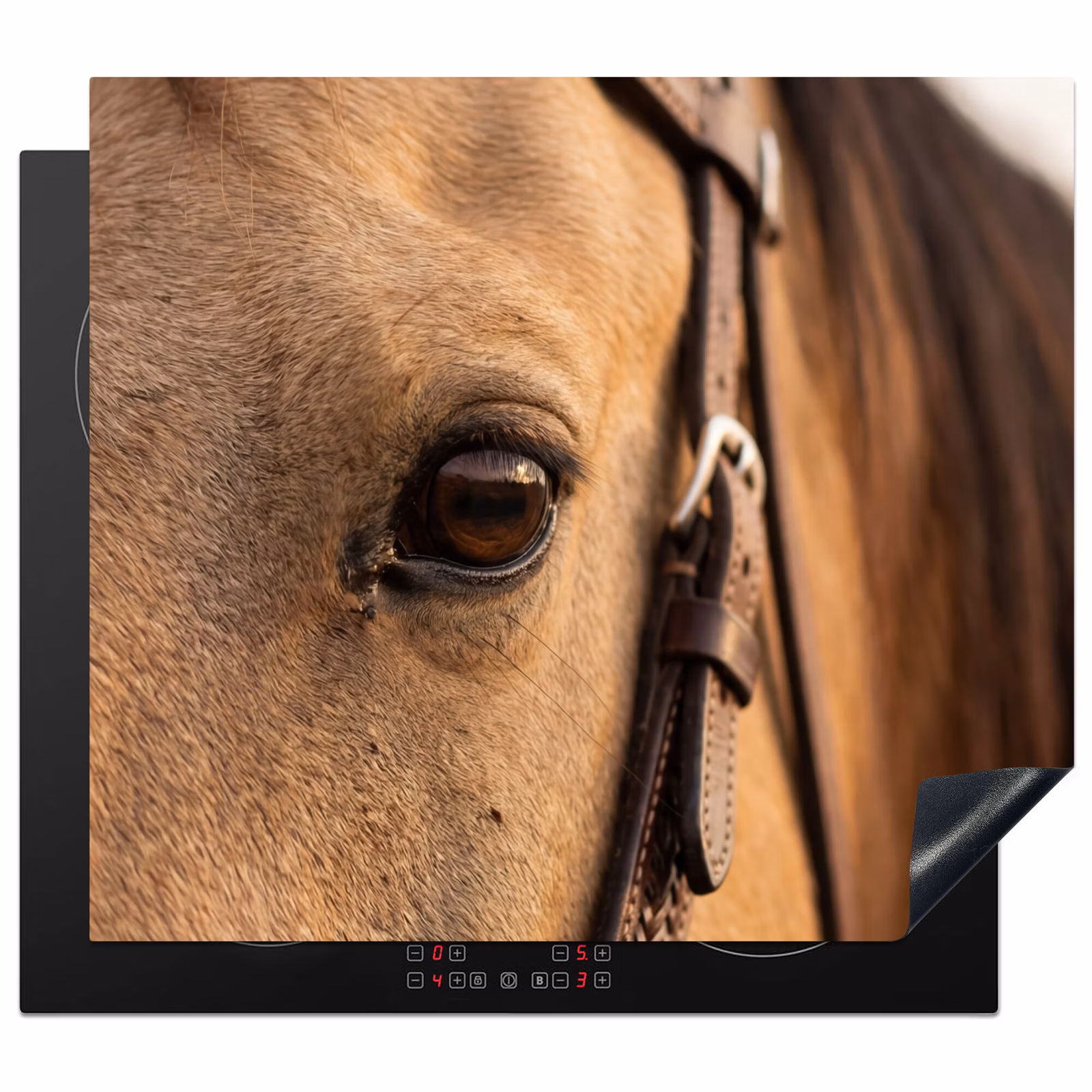 Protector de inducción - Caballo - Ojo - Marrón — 1