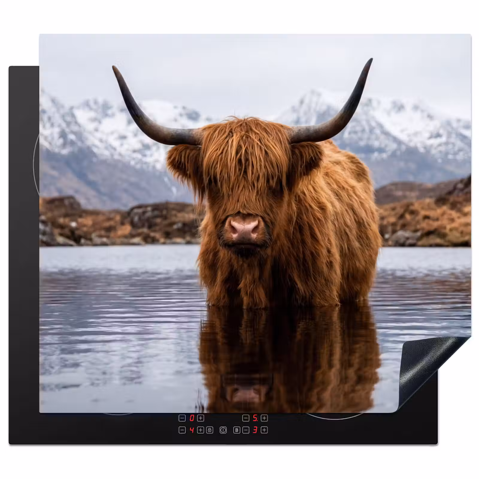 Protector de inducción - Highlander escocés - Marrón - Agua — 1