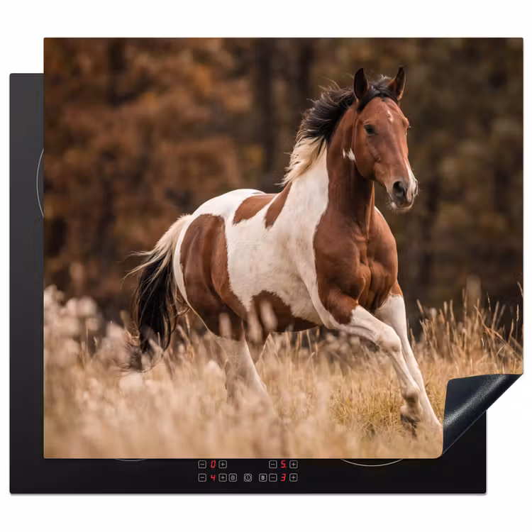Protector de inducción - Caballo - Marrón - Hierba — 1