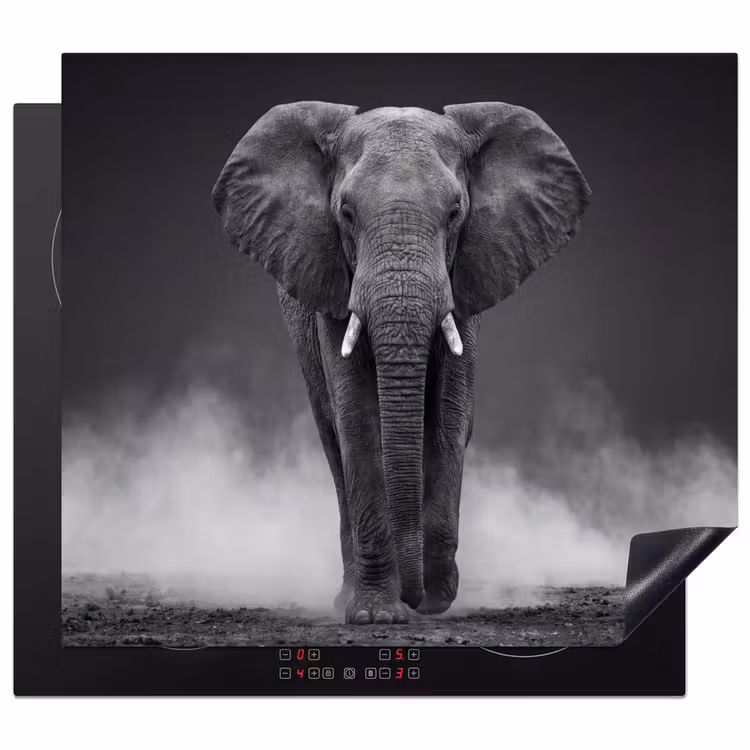Protector de inducción - Elefante - Negro - Blanco - Humo — 1