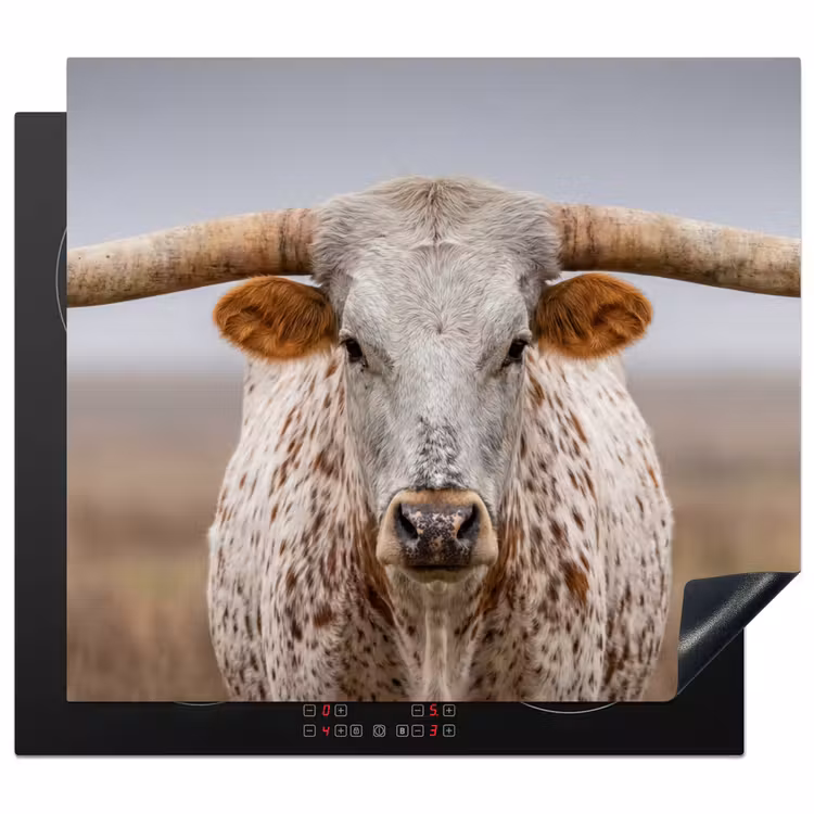 Protector de inducción - Longhorn - Campo de hierba - Animal — 1