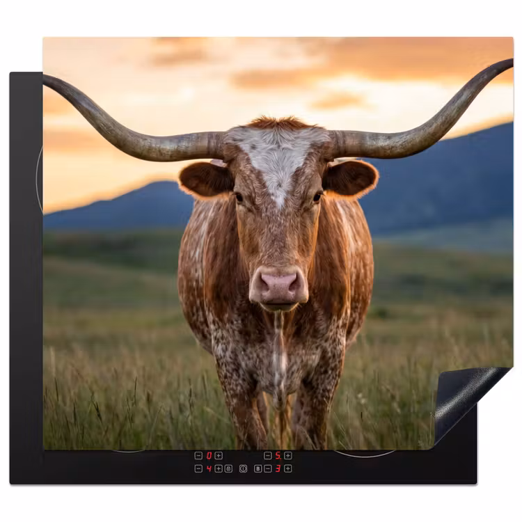 Protector de inducción - Longhorn - Paisaje - Puesta de sol — 1