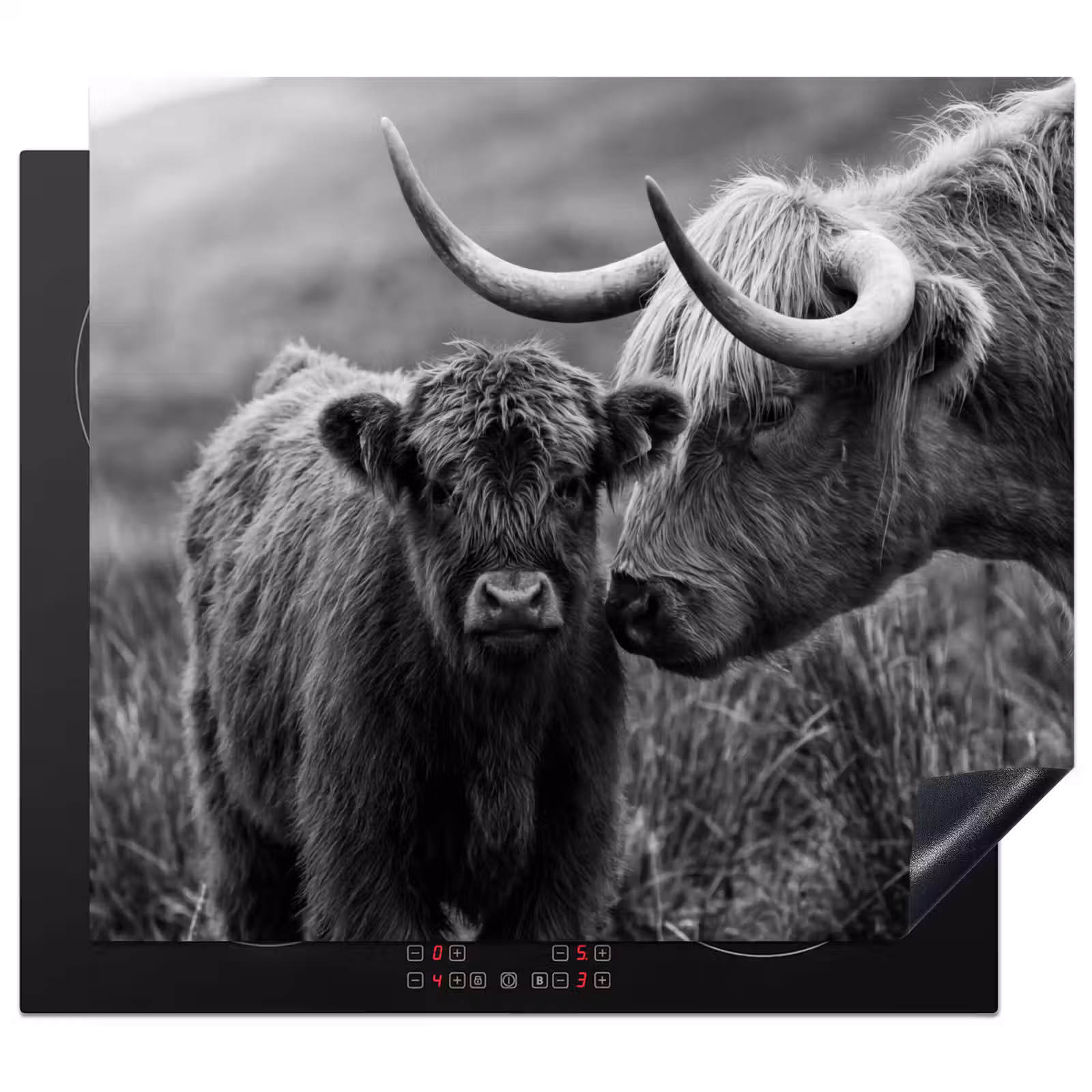 Protector de inducción - Highlander escocés - Becerro - Negro - Blanco — 1