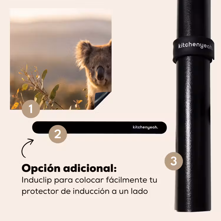 Protector de inducción - Koala - Hojas - Luz matinal — 8
