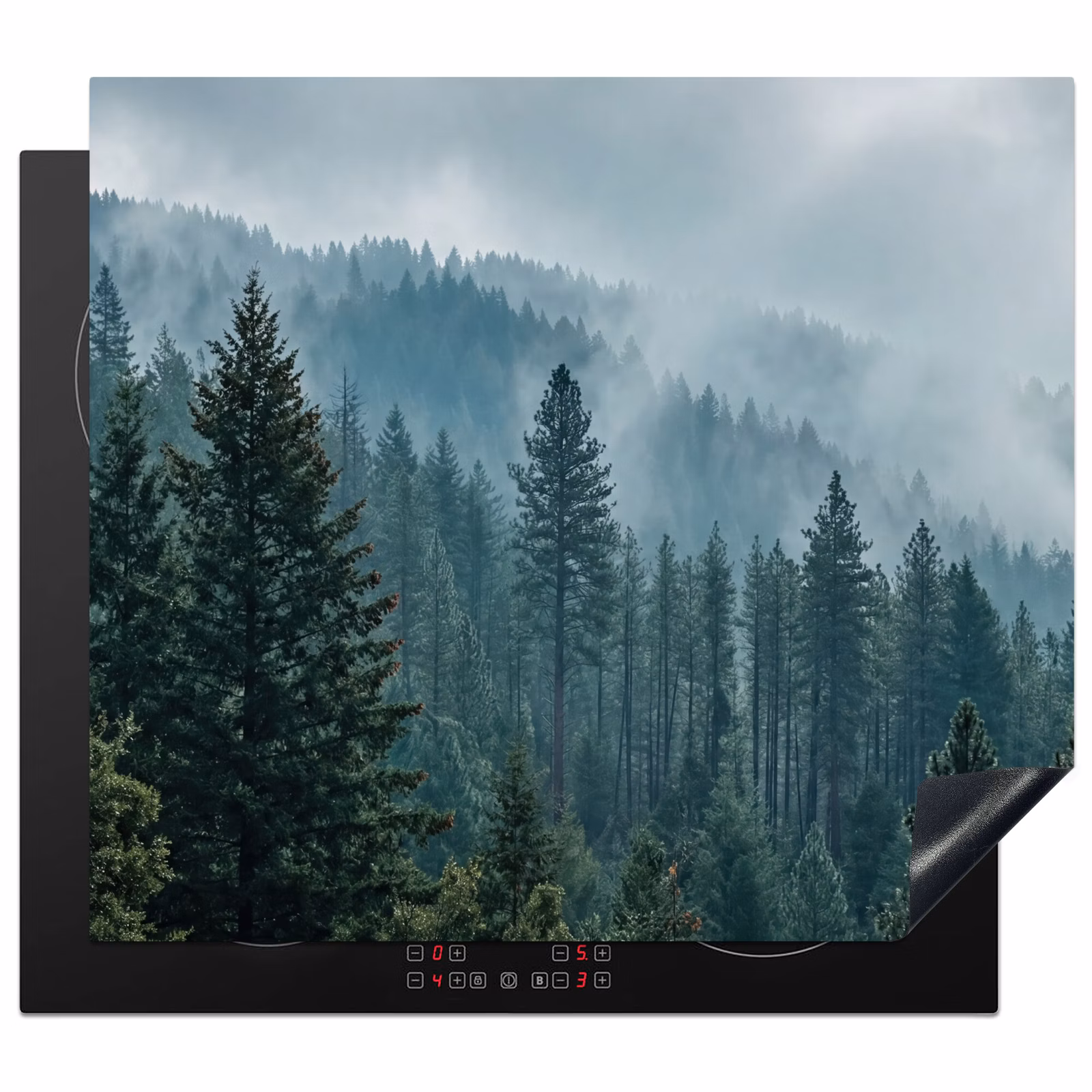 Protector de inducción - Naaldwoud - Bergen - Niebla — 1