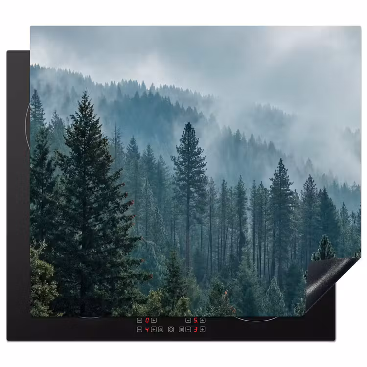 Protector de inducción - Naaldwoud - Bergen - Niebla — 1