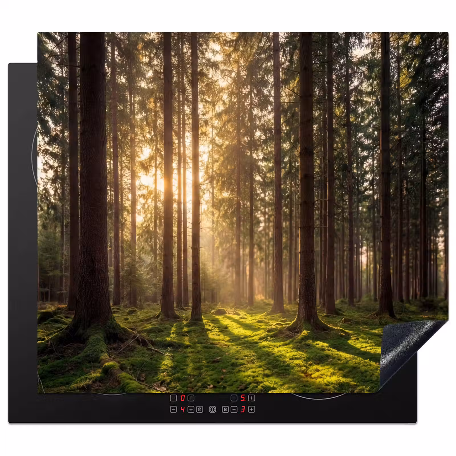 Protector de inducción - Bosque - Hierba - Luz solar — 1