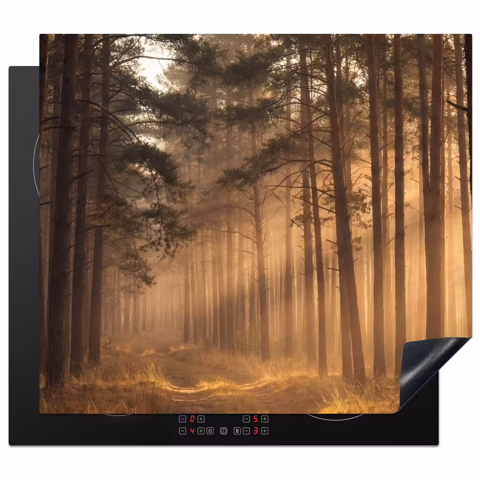Protector de inducción - Bosque - Niebla - Luz solar — 1