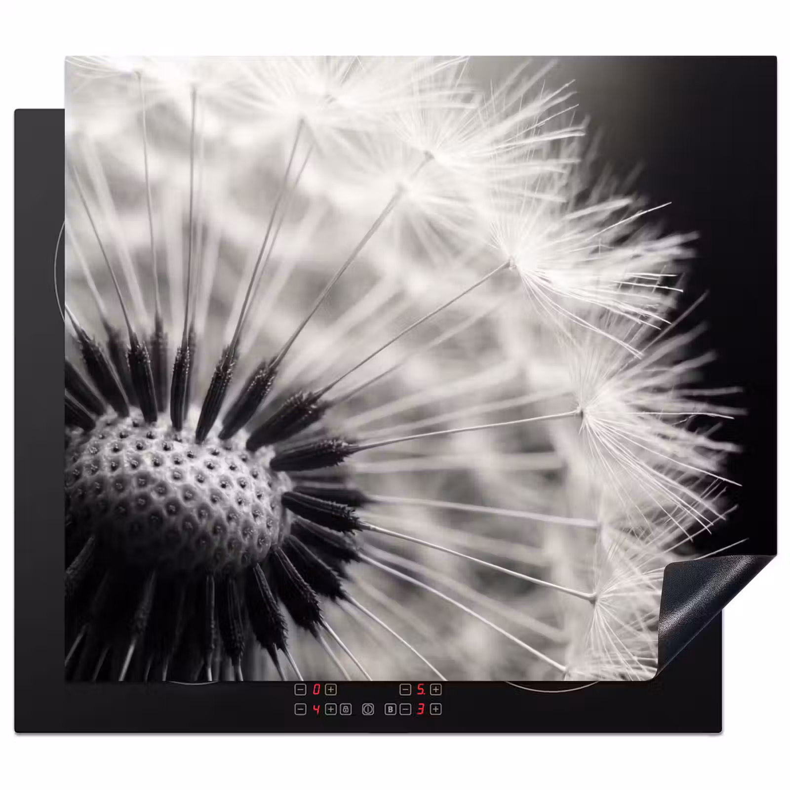 Protector de inducción - Diente de león - Negro - Blanco — 1