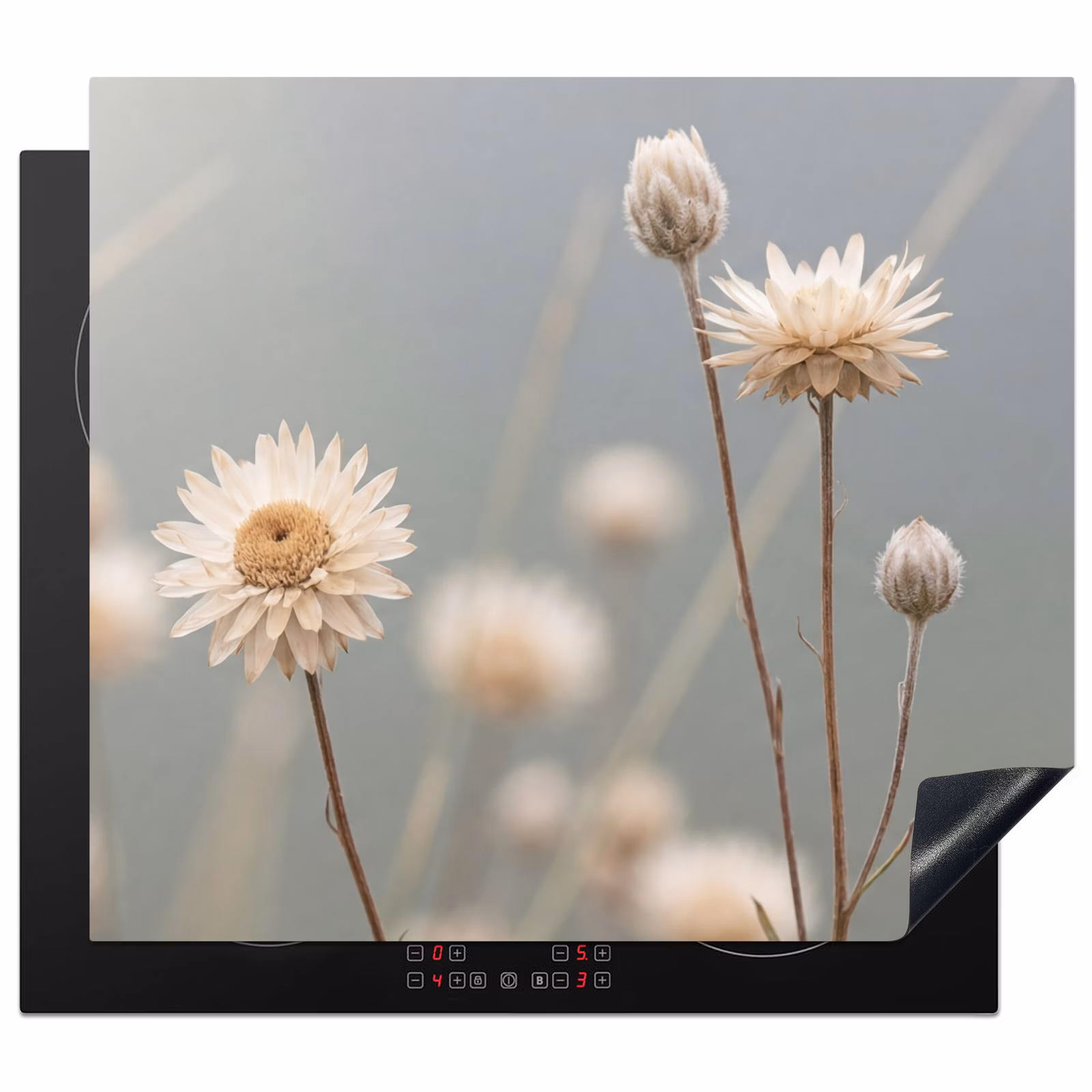 Protector de inducción - Flores de paja - Blanco - Luz diurna — 1