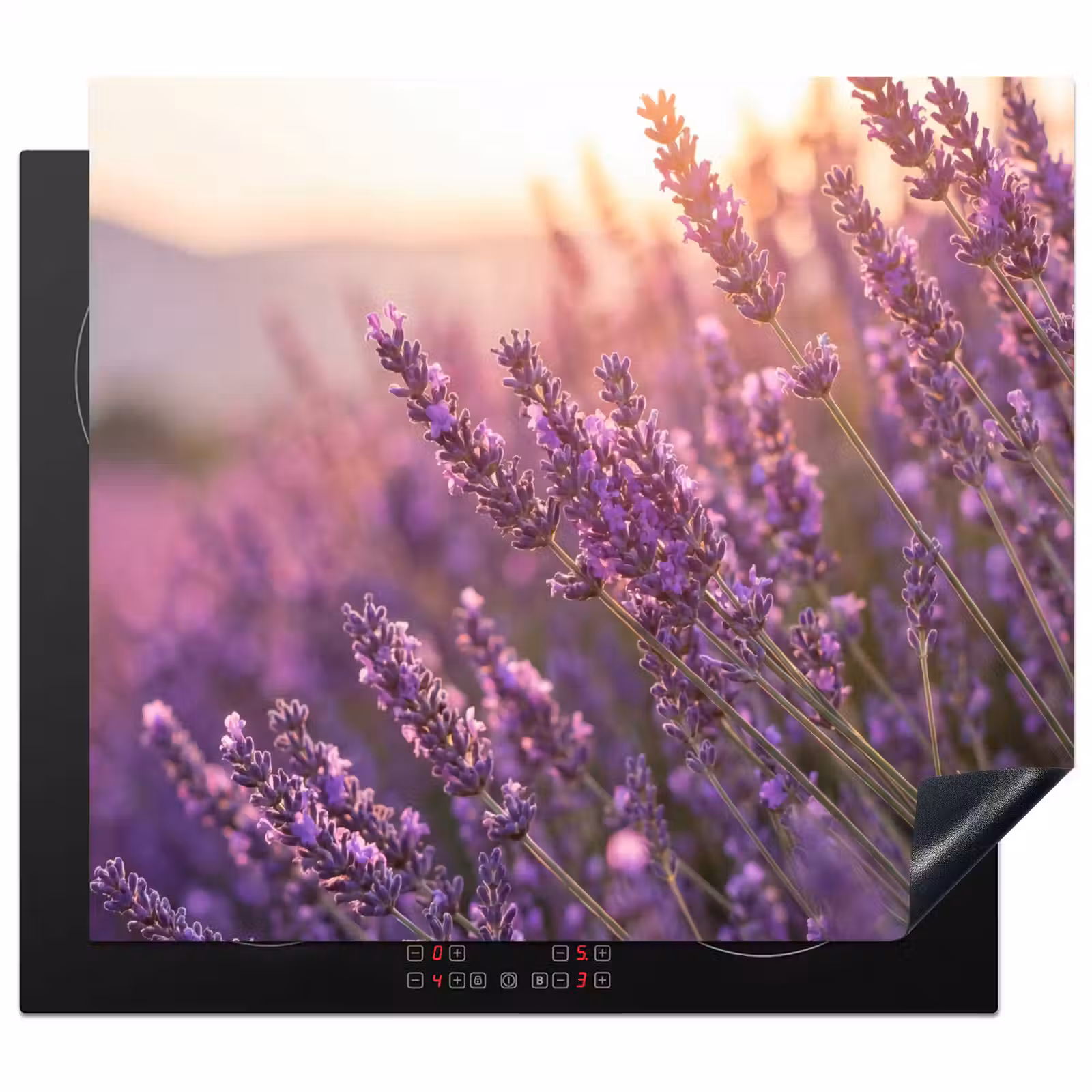 Protector de inducción - Lavanda - Violeta - Luz solar — 1