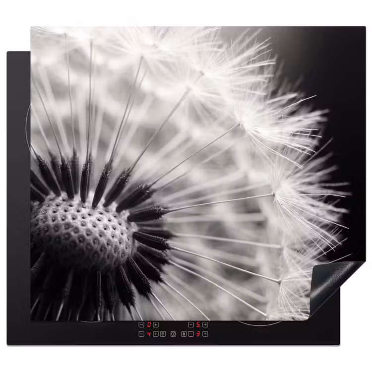 Protector de inducción - Diente de león - Negro - Blanco — 1