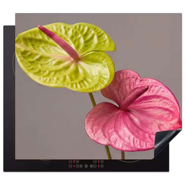 Protector de inducción - Plantas - Anthurium - Verde - Rosa — 1