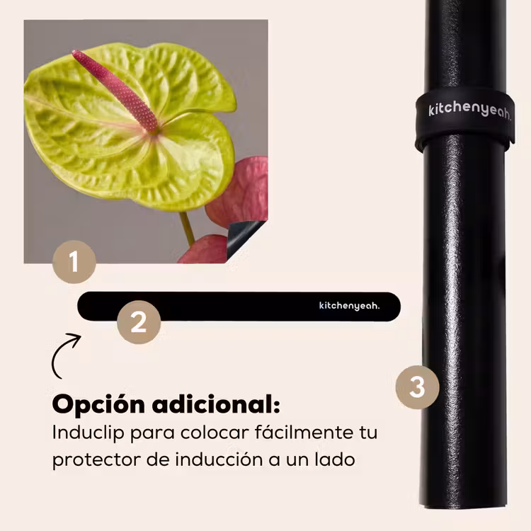 Protector de inducción - Plantas - Anthurium - Verde - Rosa — 8