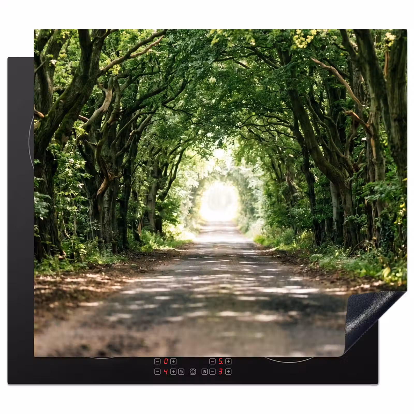 Protector de inducción - Carretera - Árboles - Naturaleza - Verde — 1
