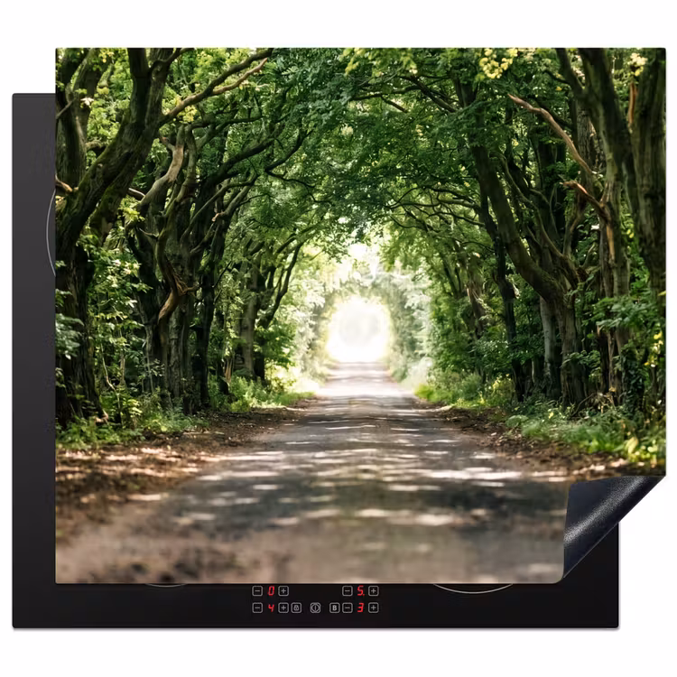 Protector de inducción - Carretera - Árboles - Naturaleza - Verde — 1