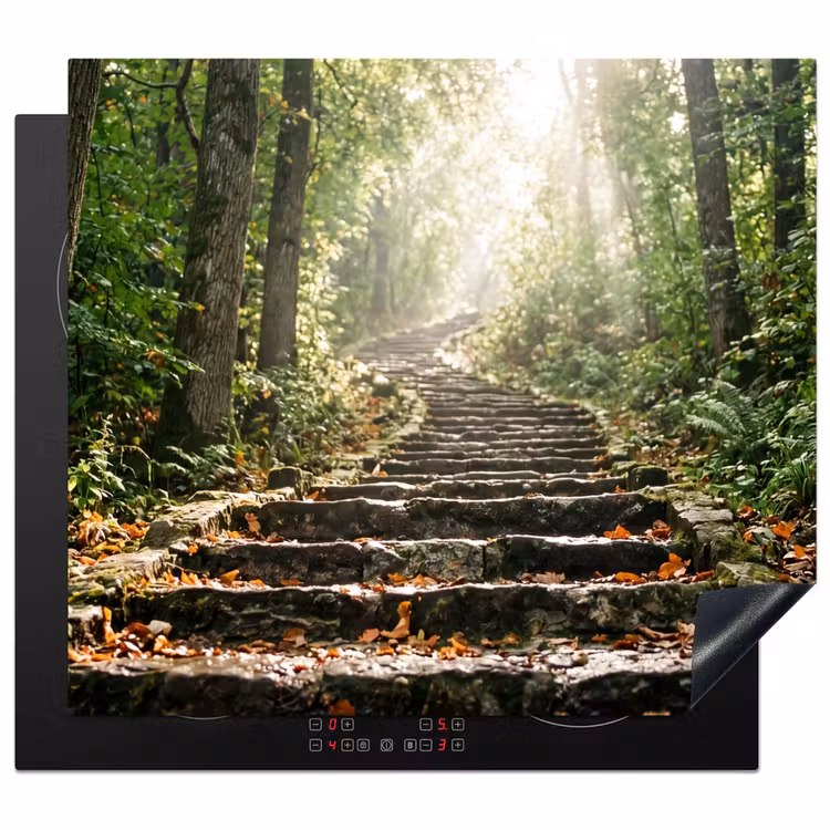 Protector de inducción - Piedras - Escaleras - Bosque - Naturaleza — 1
