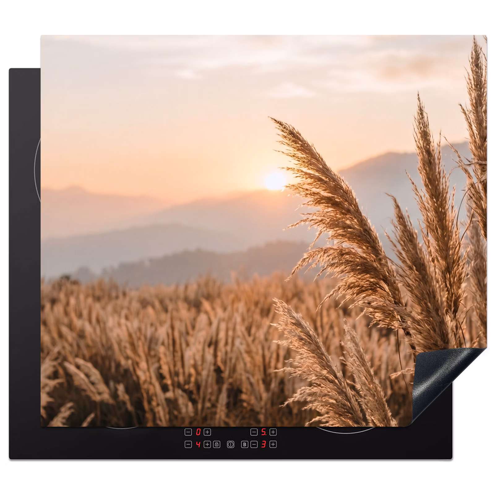 Protector de inducción - Hierba - Campo - Sol - Naturaleza — 1