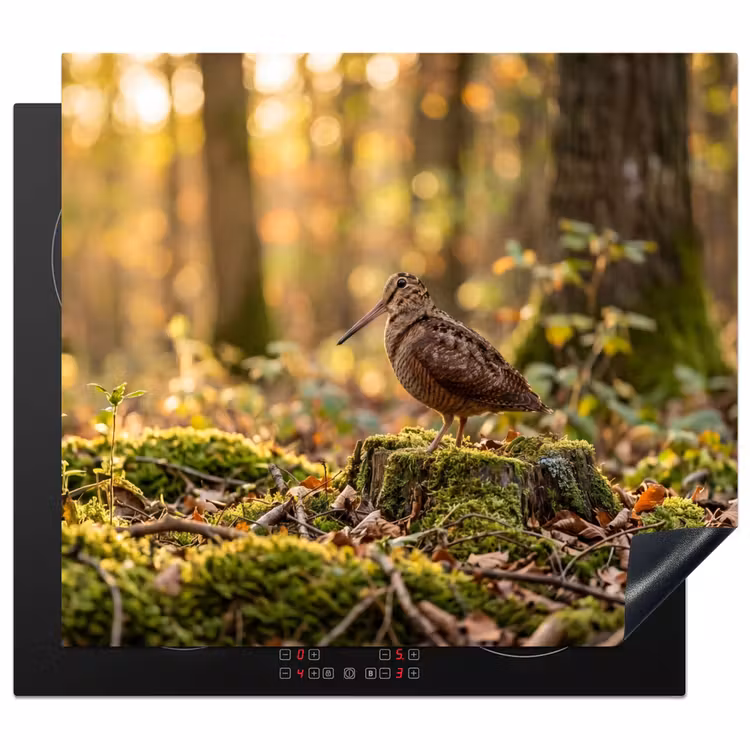 Protector de inducción - Chocha - Bosque - Hojas - Otoño - Camuflada — 1