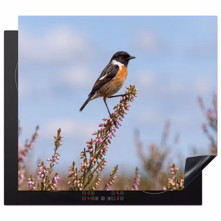 Protector de inducción - Stonechat - Brezo - Morado - Naturaleza - Atmosférico — 1