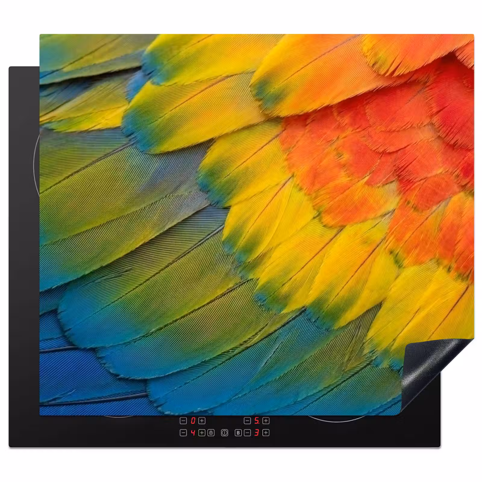 Protector de inducción - Plumas - Guacamayo - Colorido — 1