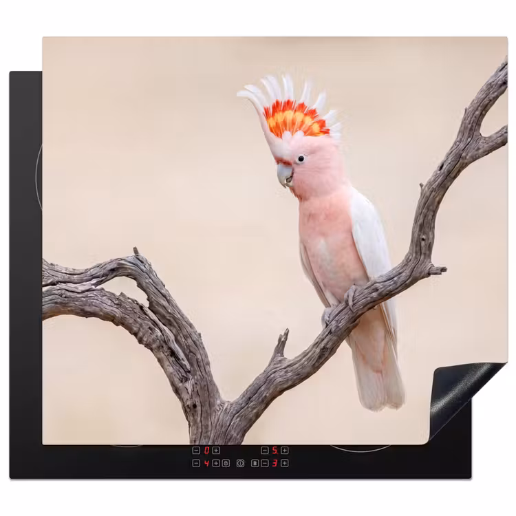 Protector de inducción - Loro - Rama - Rosa — 1