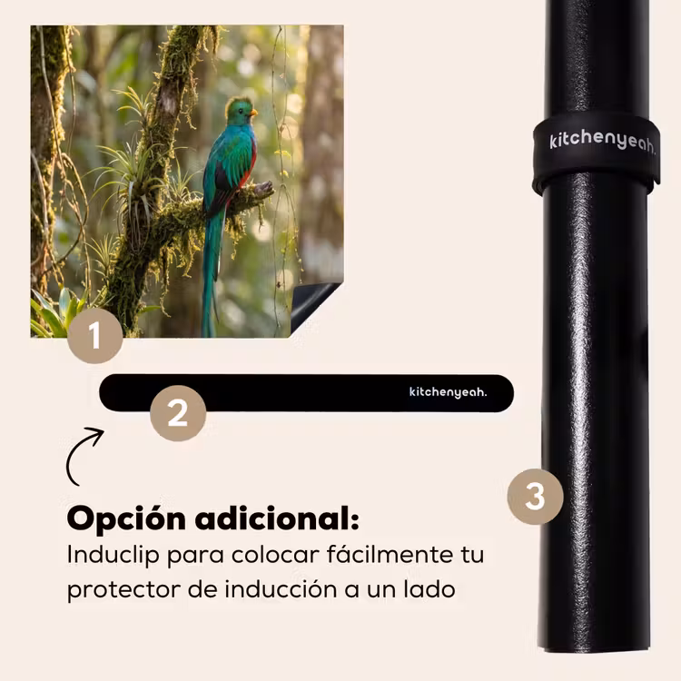 Protector de inducción - Quetzal - Selva - Naturaleza - Verde — 8
