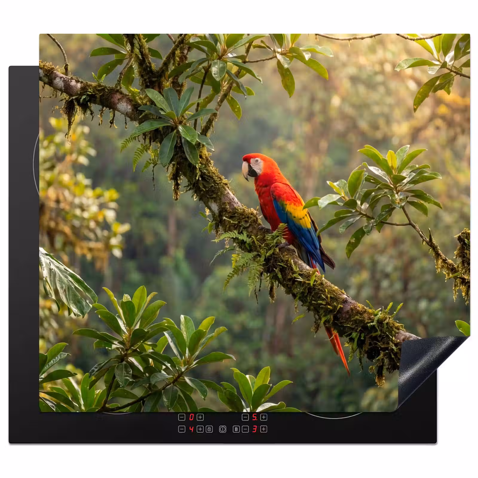 Protector de inducción - Ara - Selva - Rojo — 1