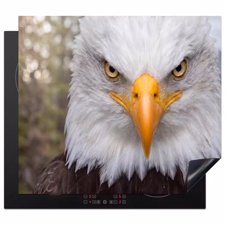 Protector de inducción - Águila calva americana - Retrato - Amarillo — 1