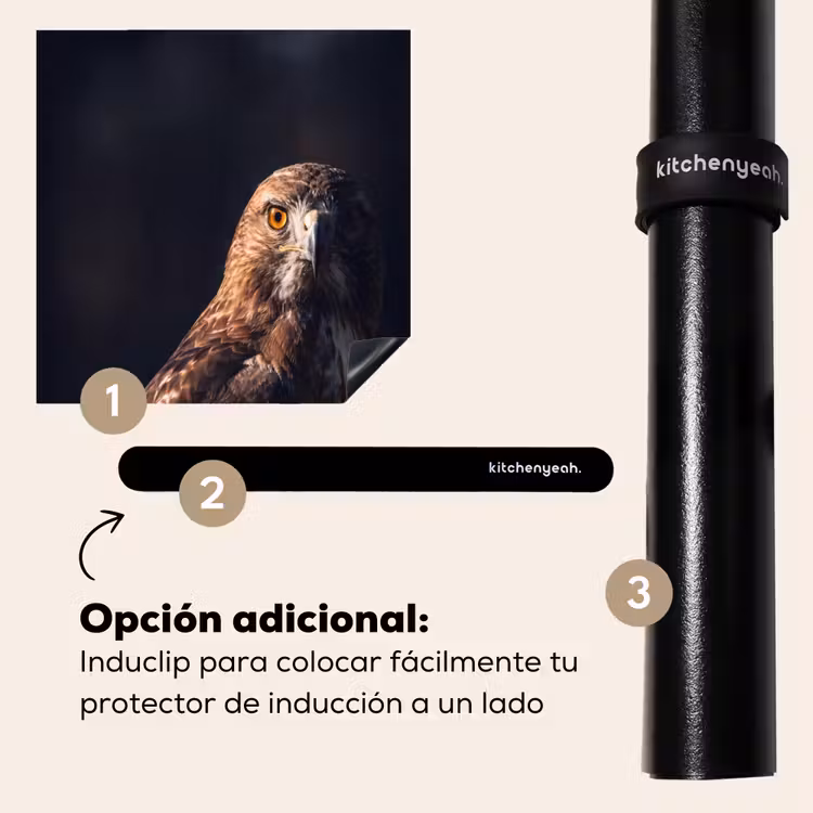 Protector de inducción - Ave rapaz - Busardo ratonero - Marrón — 8