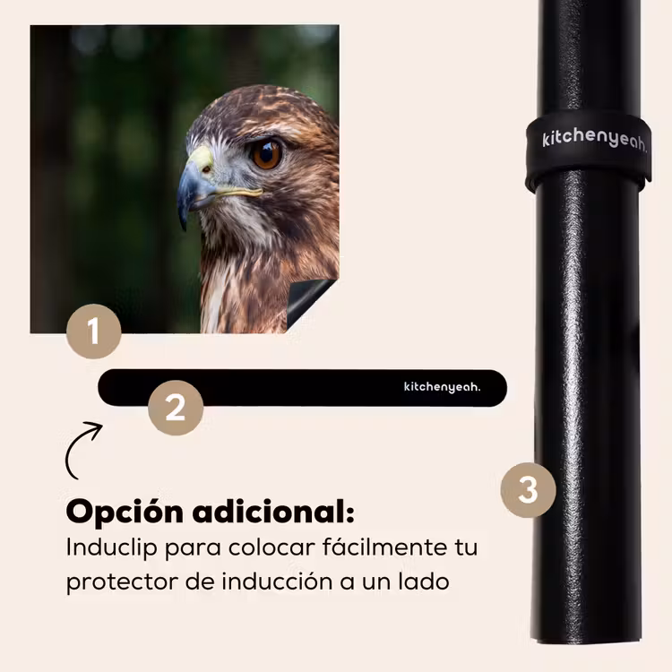 Protector de inducción - Busardo ratonero - Ave rapaz - Naturaleza - Marrón — 8
